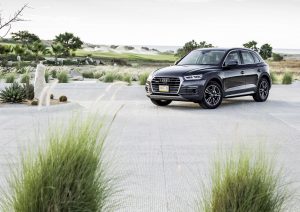 Audi-Q5