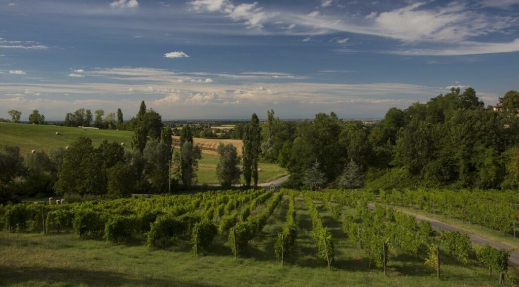 Deus Cyclewine 2019: pedalando sulle colline parmensi, bevendo buon vino