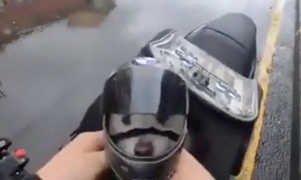 Il cane viaggia in moto con il casco ben allacciato [Video]