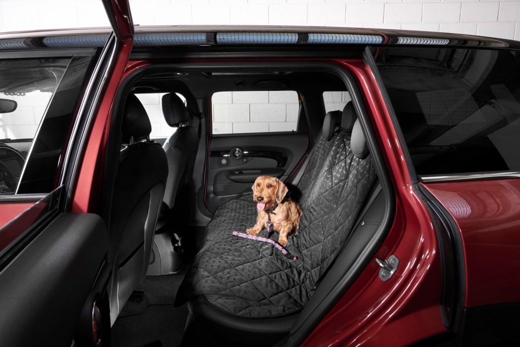 Kit da viaggio per cani: l’elegante set Mini e Poldo Dog Couture