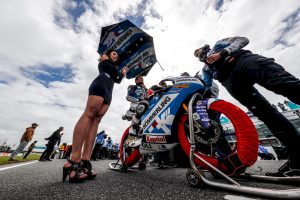 Paddock Girls Australia 2019