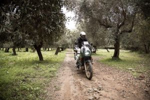 Raid degli Oliveti in Sardegna