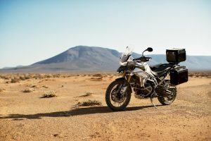 Triumph Tiger Rally Pro 2020