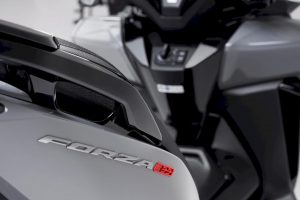 Honda Forza 300 Deluxe Limited Edition 2020