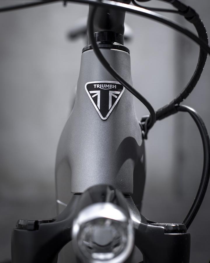 Bici elettrica Triumph Trekker GT
