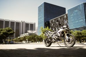 Triumph Tiger 900 Rally Pro Rodolfo Frascoli