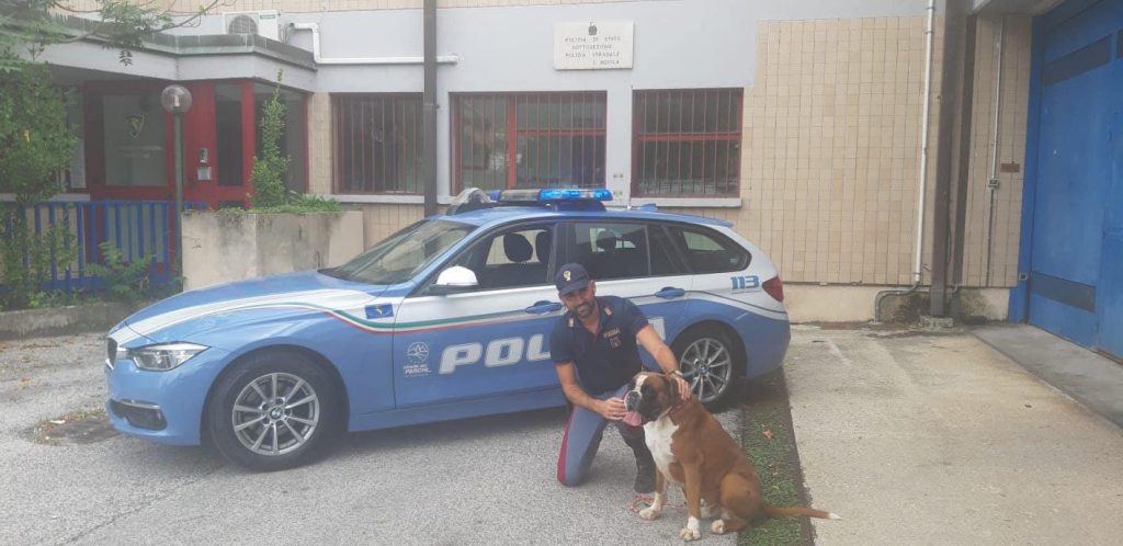 Abbandonano cane in autostrada: beccati e denunciati dalla Polstrada