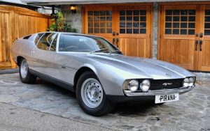 Bertone Pirana