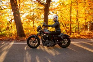 Harley-Davidson XL 1200 NS Sportster Iron 1200 2021