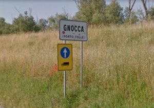 gnocca