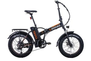 Brinke Troll fat ebike