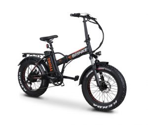 Brinke Troll fat ebike