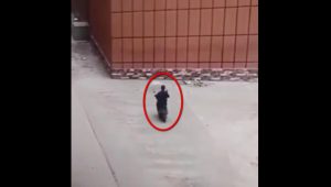 In Scooter con ombrello frontale contro il muro