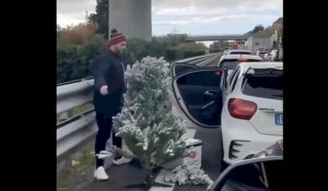 albero di natale in autostrada