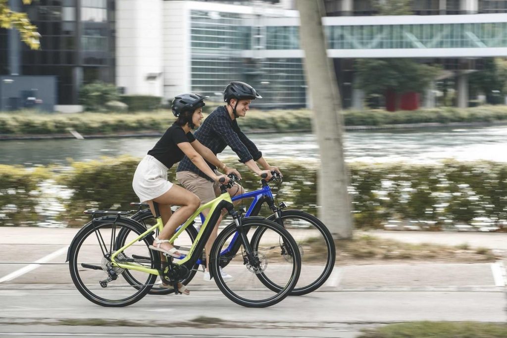 Manutenzione bicicletta elettrica