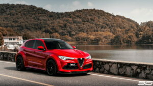 Alfa Romeo Stelvio SD Carbon11