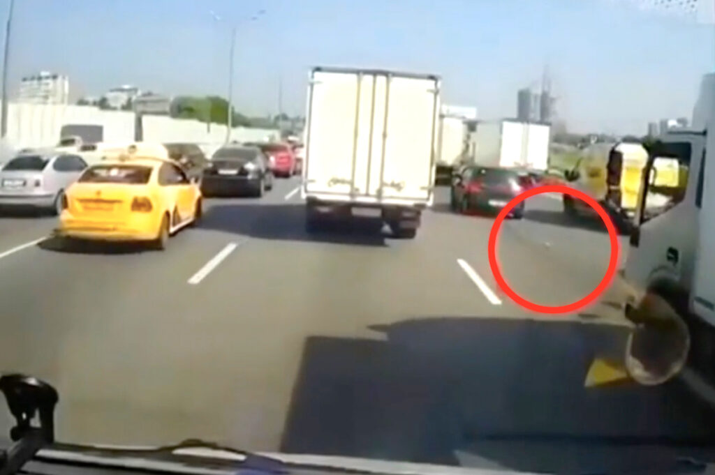 Camionista eroe salva gattino che vaga impaurito in autostrada