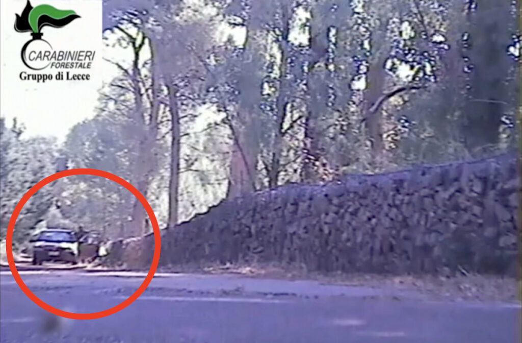 Il video del piromane che incendia un bosco in Puglia in auto