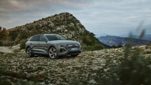 Audi Q8 e-tron (18)