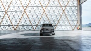 Audi Q8 e-tron (22)