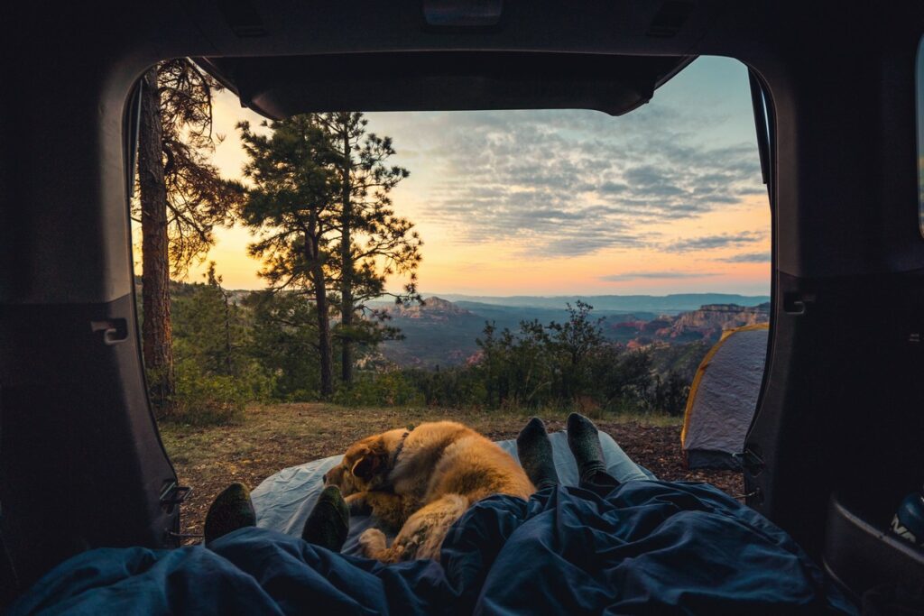 Viaggiare in camper con il cane: la to do list e qualche consiglio utile