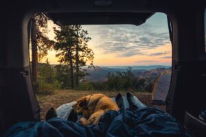 Viaggiare in camper con il cane