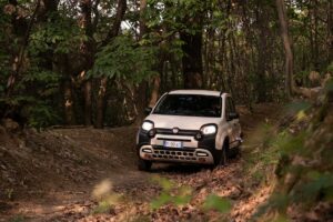 Fiat Panda 4x40°