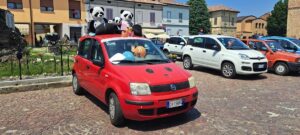 Panda Pandino 2023