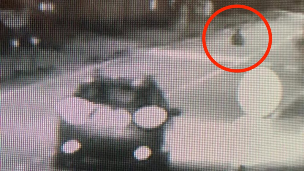 Si sdraiano in strada e scansano le auto all’ultimo: l’ultima “challenge” su TikTok