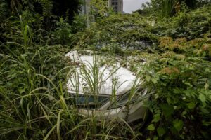 Auto elettriche abbandonate Cina Bloomberg