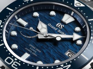 Grand Seiko Collezione Evolution 9