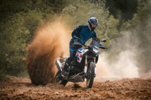 BMW Motorrad F 900 GS - F 900 GS Adventure e F 800 GS (6)