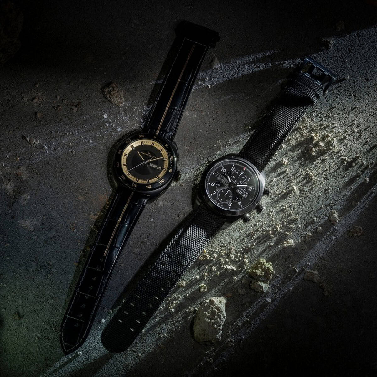 Hamilton Resident Evil Requiem